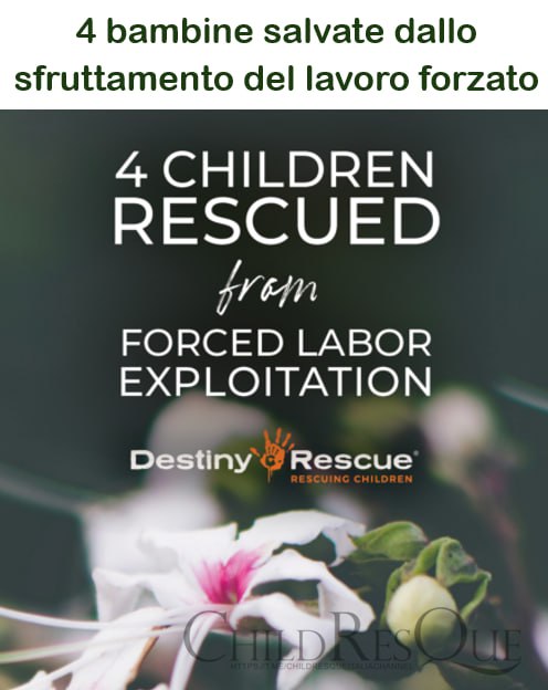 Bera49164308's tweet photo. 🔥OPERAZIONE DESTINY RESCUE🔥
#25aprile
#News_ASIA_Cambogia #Child_Abuse #Child_Exploitation #Stop_Child_Trafficking
https://t.co/hLT8IRQKV9 https://t.co/8d2WZSAmTu