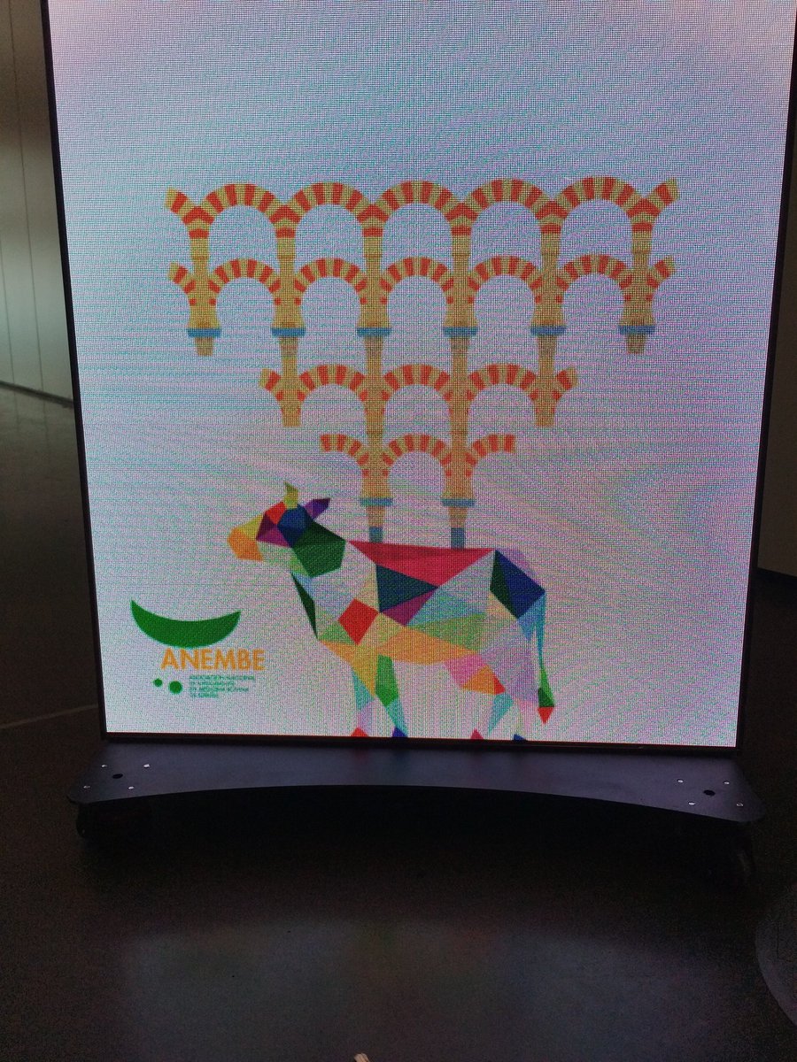 CitogenomicsLAB's tweet photo. #anembe #cordobation #cows https://t.co/GSWoiD0RvN