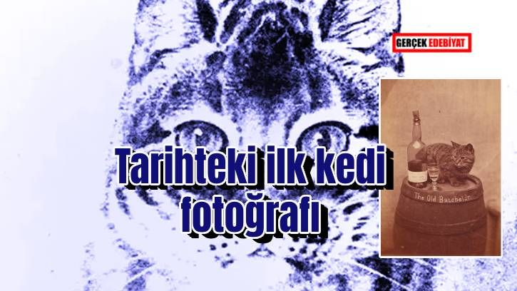 Tarihin ilk kedi fotoğrafı gercekedebiyat.com/haber-detay/ta… #Gercekedebiyata @Gercekedebiyata aracılığıyla