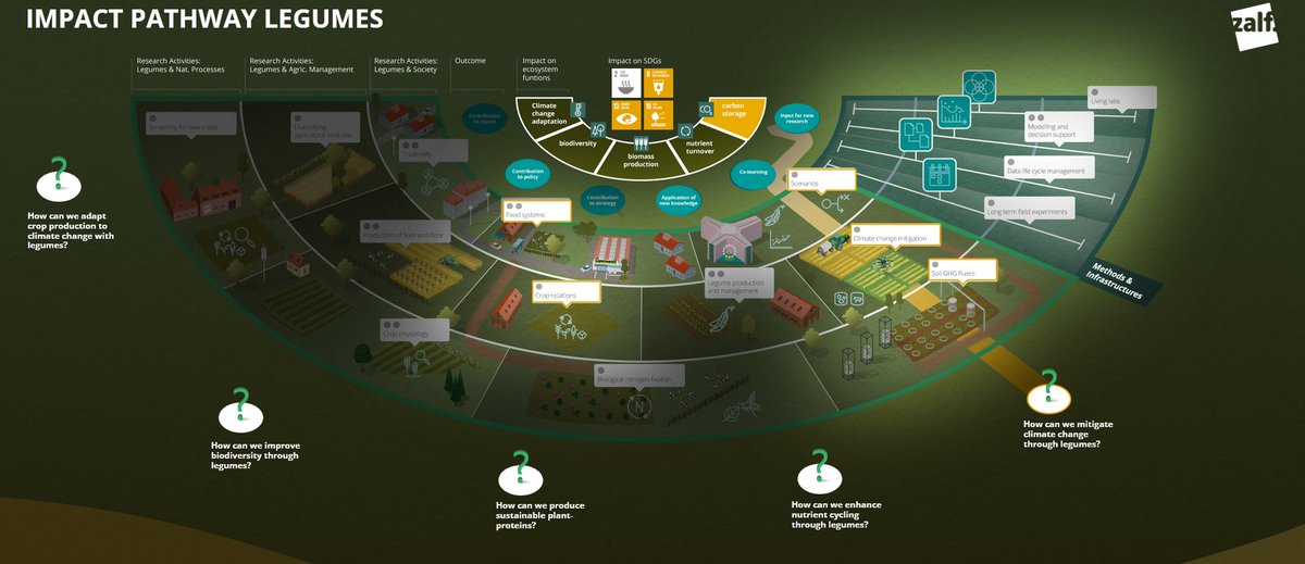 Check out ZALF's Impact Pathway Exlorer, to learn how we can use #legumes to mitigate #climatechange, what research is needed to get there, and which #UNSDG.s we can address with it.
zalf.isometric.site/impact-pathway…