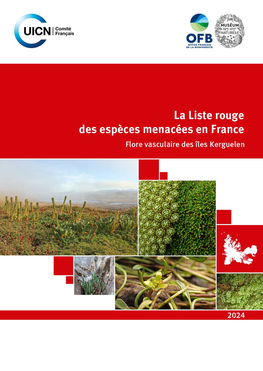 🌱Nouvelle publication de la Liste rouge 🇫🇷 sur la flore des îles Kerguelen : un faible risque de disparition pour la plupart des espèces, mais certaines plantes menacées par les espèces introduites envahissantes et le changement climatique => bit.ly/3W9qEKB