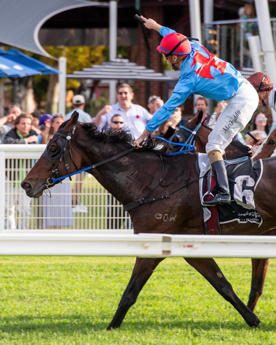 Currimundi dug in deep to take out the Diggers Cup 💪