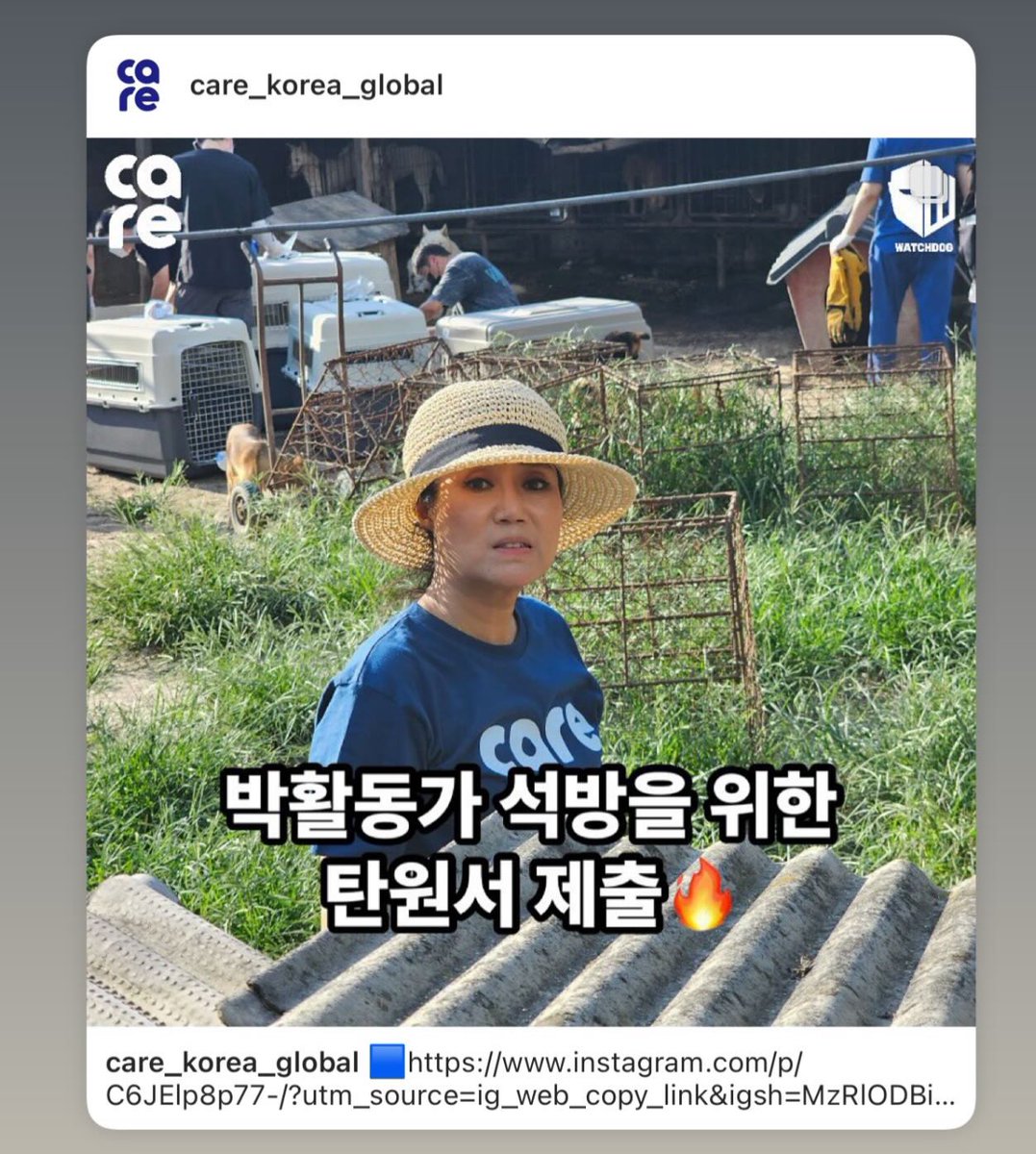 kintyumu79's tweet photo. 【嘆願書】
韓国の犬肉食店が再開されている
https://t.co/wkvcIj0xWu

韓国活動家パク・ソヨンさんは去年9月春川市で違法屠殺場で屠殺者から『ヤンガルポ』
アメリカ人に身体を売る女と屈辱された
警察官が立ちあっていたにも関わらず屠殺者に対して何の警告・注意をしなか���たので
警察官の前に立ちはだかり意義を申し立てたところ逮捕された
未だ釈放されない
3年後に韓国では犬肉食全面廃止の法律が施行される

ソヨンさんが逮捕された今、廃業していた犬肉食店が開業し始めている
ソヨンさんを早く釈放し活動の場に復帰して頂かなくては韓国の犬達の未来が危ない

皆さん
電子署名にサイン✍️をお願いします🤲🐕
#犬肉食廃止
#パク・ソヨン
#犬のいる幸せ 
#動物虐待
