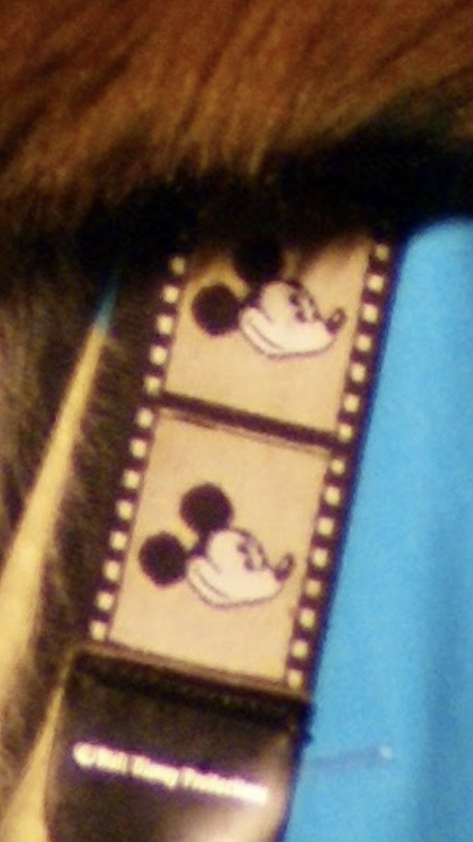 hiddenmickey_p tweet picture