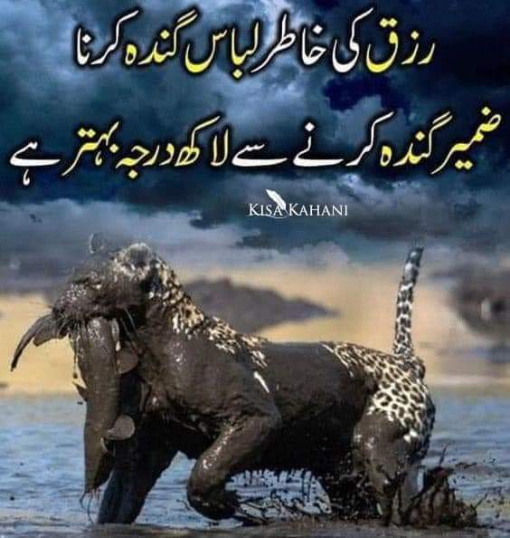 Assalamu Alaikum 💐 Good morning 🌷🌷 Have good day ⚘⚘ Stay Blessed happy 🌹🌹🌹