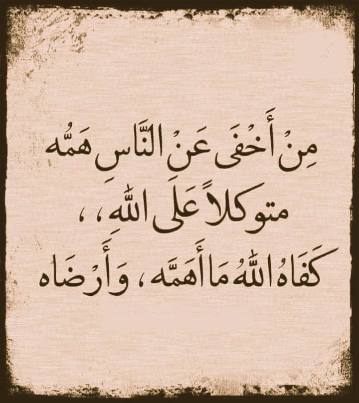 ابو عبدالمحسن (@abmohsen117) on Twitter photo 