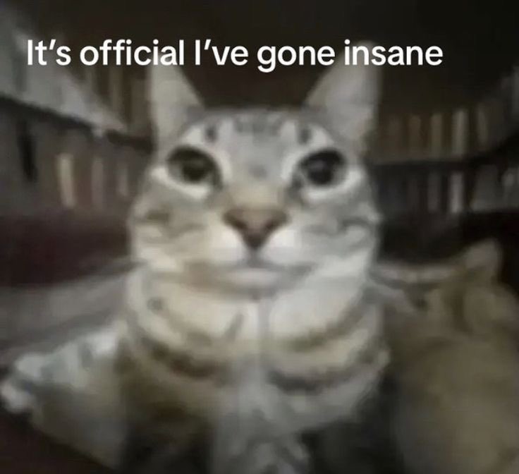 ⠀ 
⠀ 
( bisa-bisanya dulu gue di hoy-in orang ini sekarang gue panggil dia sayang  )
⠀ 
⠀