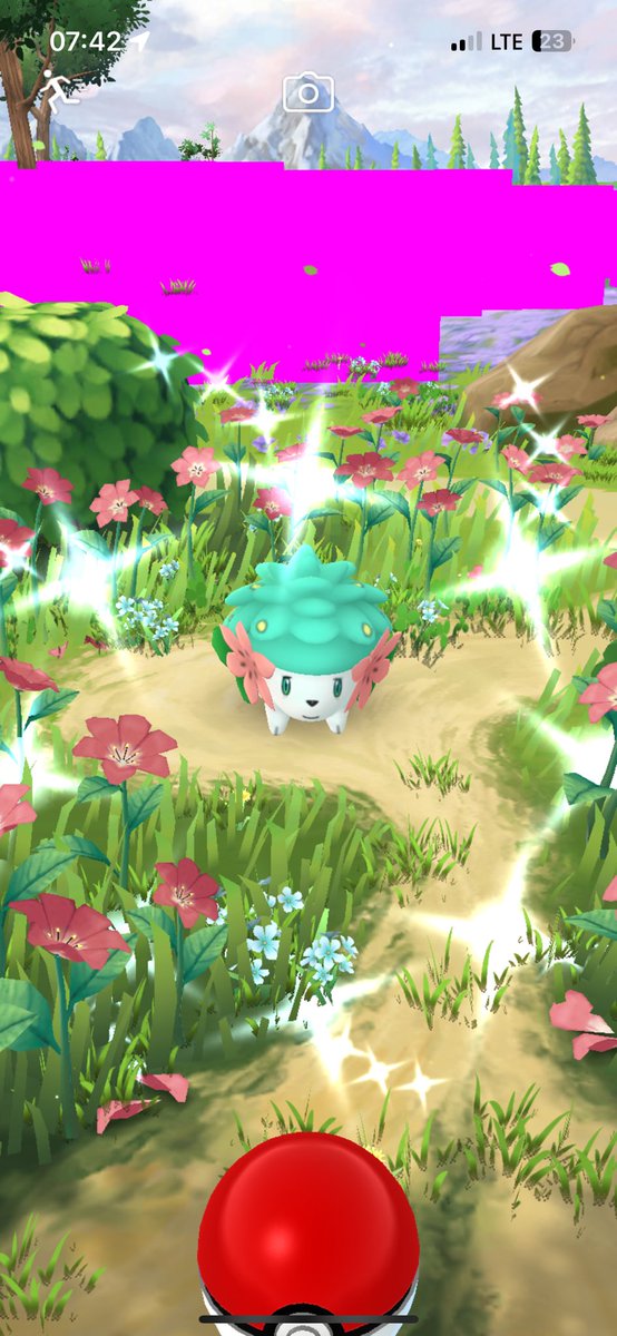 Shiny XL Shaymin Caught‼️✨✨✨ #PokemonGO #ShinyPokemon #shinycheck #shaymin #シェイミ #ポケモンgo