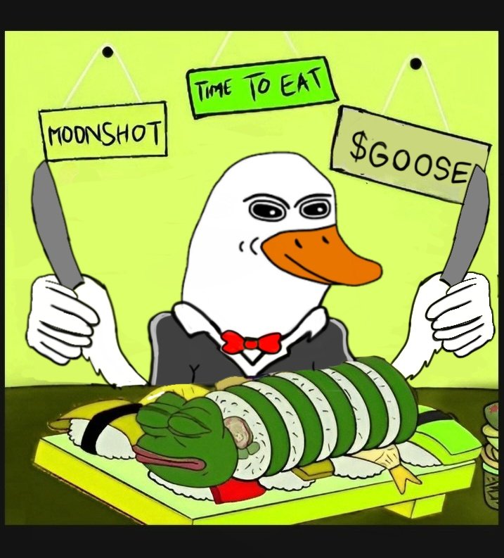 buayanouval's tweet photo. @goosecoin_io My meme entry sir @goosecoin_io
#GOOSEMEME $GOOSE https://t.co/XWubqwk1En