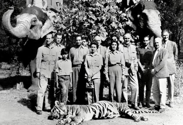 Yes, the whole Royal Family are animal lovers, Here is Queen Elizabeth & Prince Philip looking after a sick tiger.