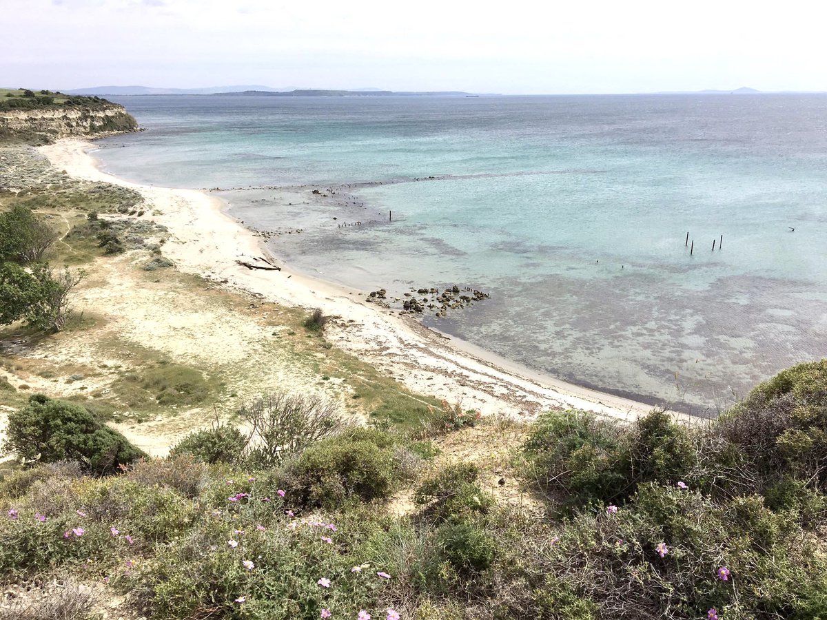 volkan_eldem's tweet image. Bundan 109 yıl önce 25 Nisan 1915 günü sabahı başlayan Çanakkale kara muharebelerindeki çıkarma koylarından Seddülbahir Tekke koyu. #Capehelles #Wbeach #Landing
