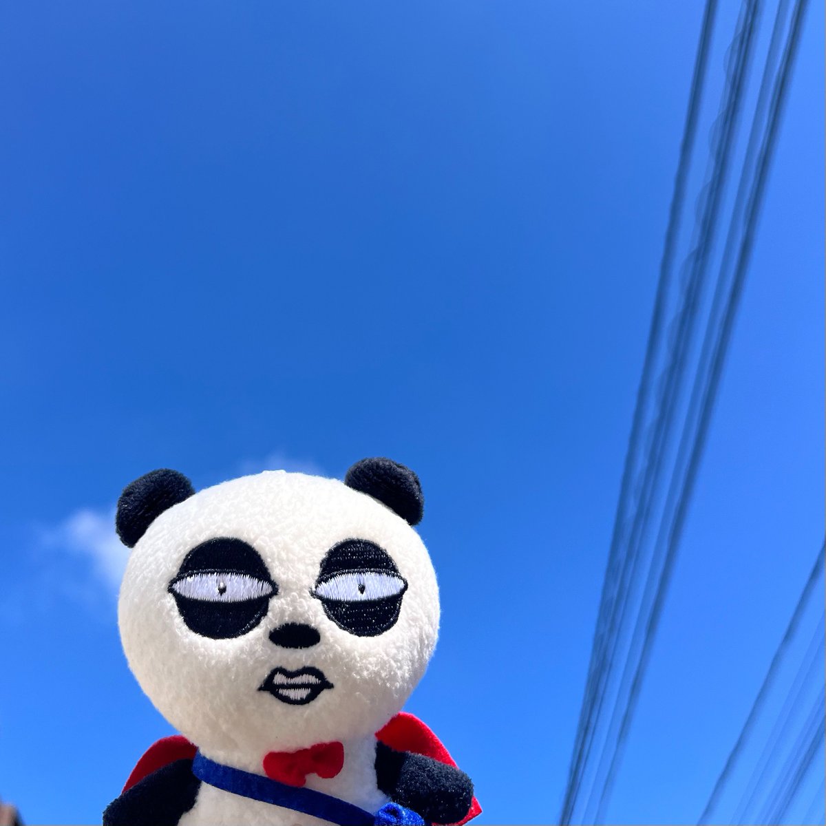 ●京成パンダ 京成パンダ【公式】 (@keiseipanda_official) • Instagram