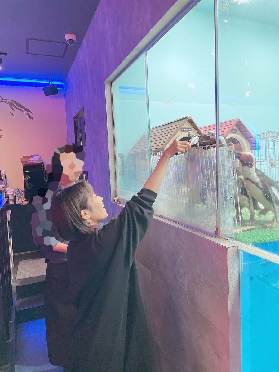naobou_official's tweet photo. #世界ペンギンの日 

今年に入ってからたくさんペン活できました！！🐧
親子ペンギンに会えたり、初めて餌やりもできたり、コウペンちゃんとゆるキャン△コラボグッズを買いにいったり💞

可愛い生き物たちが安心して暮らせる地球でありますように。
私もできることをコツコツと……！💡（東山奈央） https://t.co/e7DPvPLINd