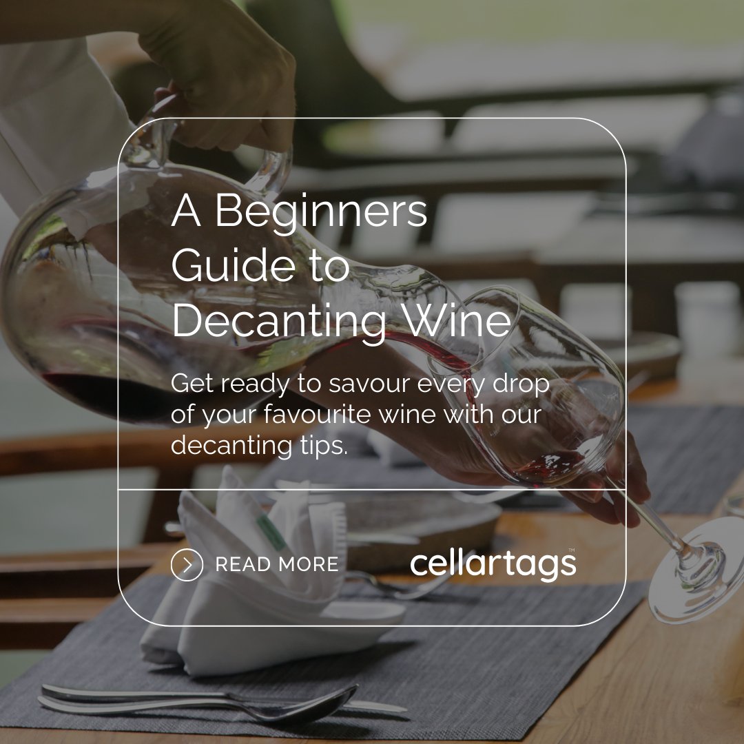 Get ready to savour every drop of your favourite wine with these decanting tips. Read our latest blog here - cellartags.com/a-beginners-gu…

#winetips #decantingwine #sommlife #sommelier #winelovers #cellartags #wineaccessories