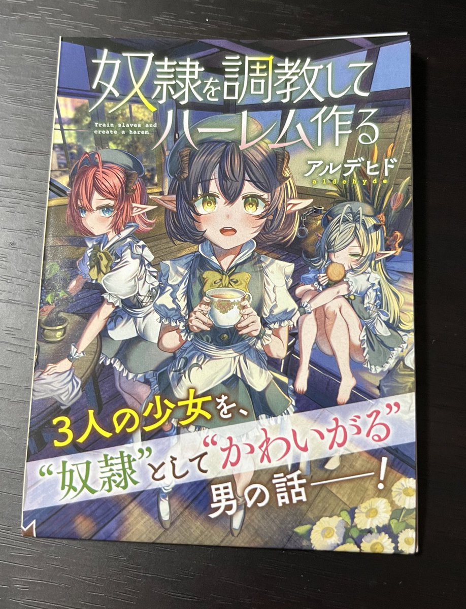 君は喧し4巻のチラシが奴隷ハーレムの冒頭試し読み出来て凄い豪華…!

奴隷1巻にも封入されるっぽいなこれ 