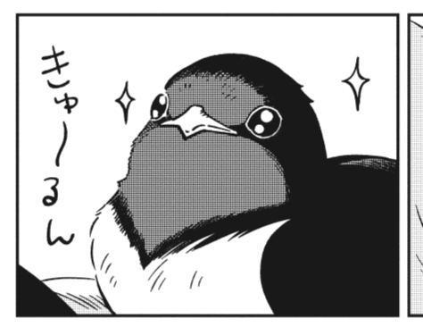 明日はうおもり更新だ♪よろしくおねがいします! 