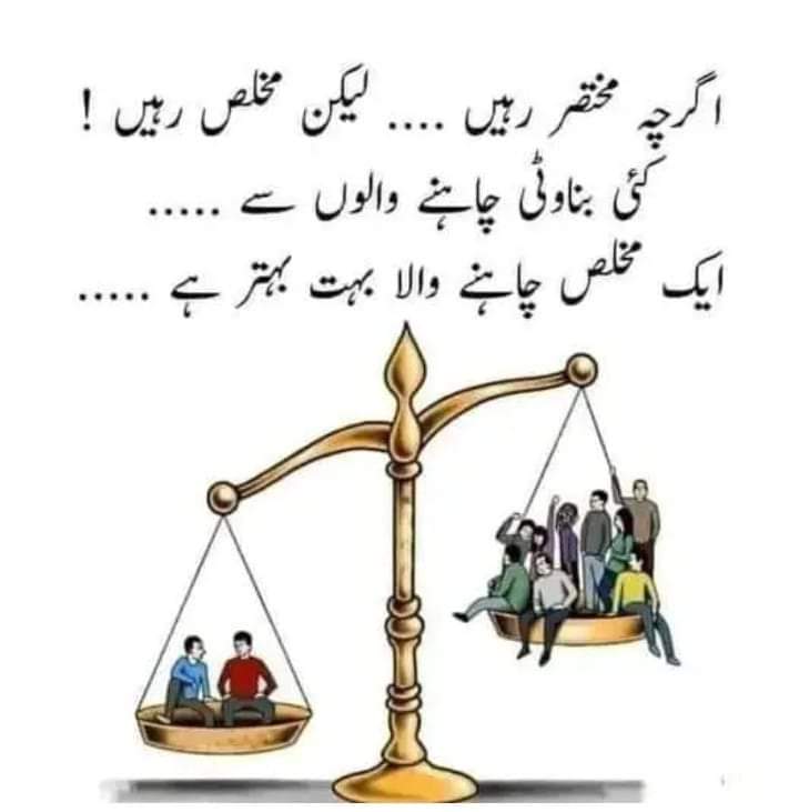 Saima tweet media