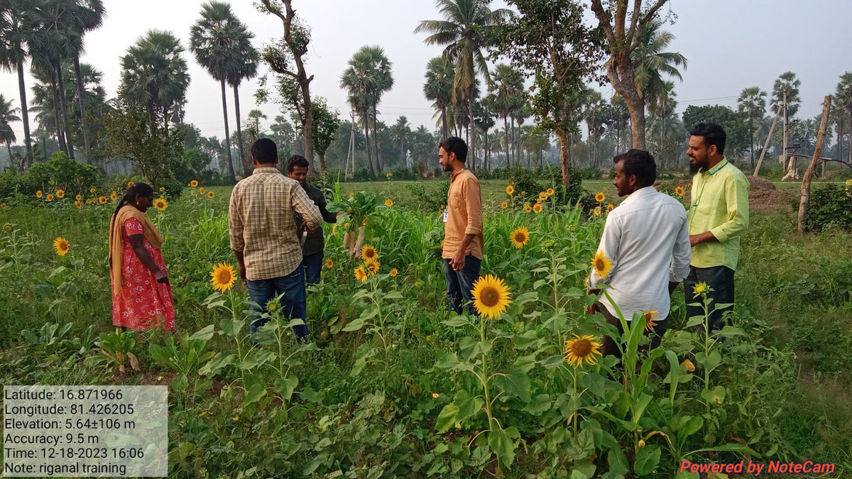 ఎకరా వరి గట్టు మీద 6 రకాల అంతర పంటలు, 20 సెంట్ల లో 20 రకాల కూరగాయలను @APZBNF లో పండించి, అంగన్వాడీ కేంద్రం & ప్రభుత్వ పాఠశాలల్లోని చిన్నారుల మధ్యాహ్న భోజనానికై సరఫరా చేస్తూ మంచి ఆదాయం తో పాటు సంతృప్తికరమైన జీవనాన్ని సాగిస్తున్నారు ఏలూరుకి చెందిన మహిళ రైతు, సువర్ణ. @vijaythallam