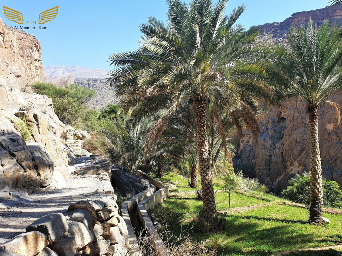 The ancient Al Falaj irrigation system in Oman is a marvel of engineering and tradition. this intricate network of channels distributes water from underground springs to farms, orchards, and settlements across the arid landscape of Oman. #falaj #almaamaritours #tourguide_oman