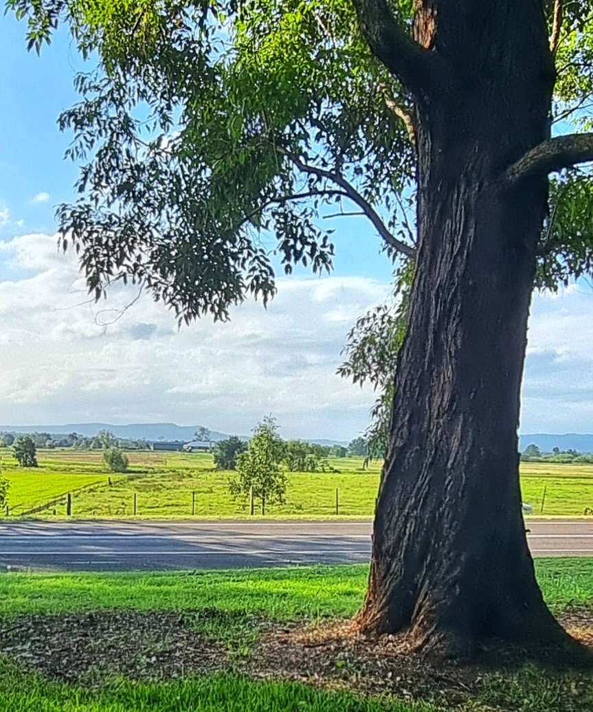 Today's pic from the stone seat by the highway of the floodplain