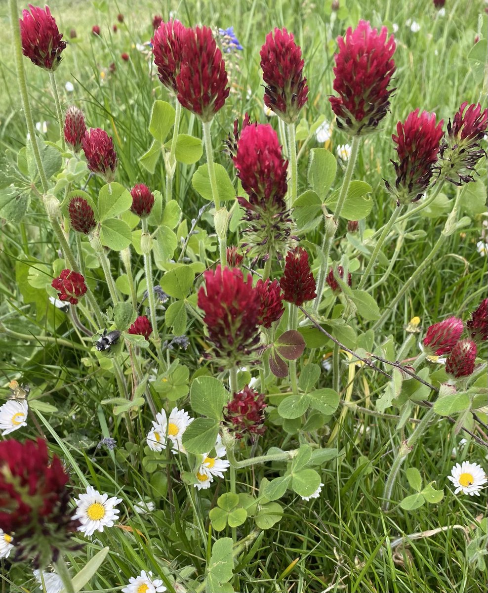 Rachelle tweet media