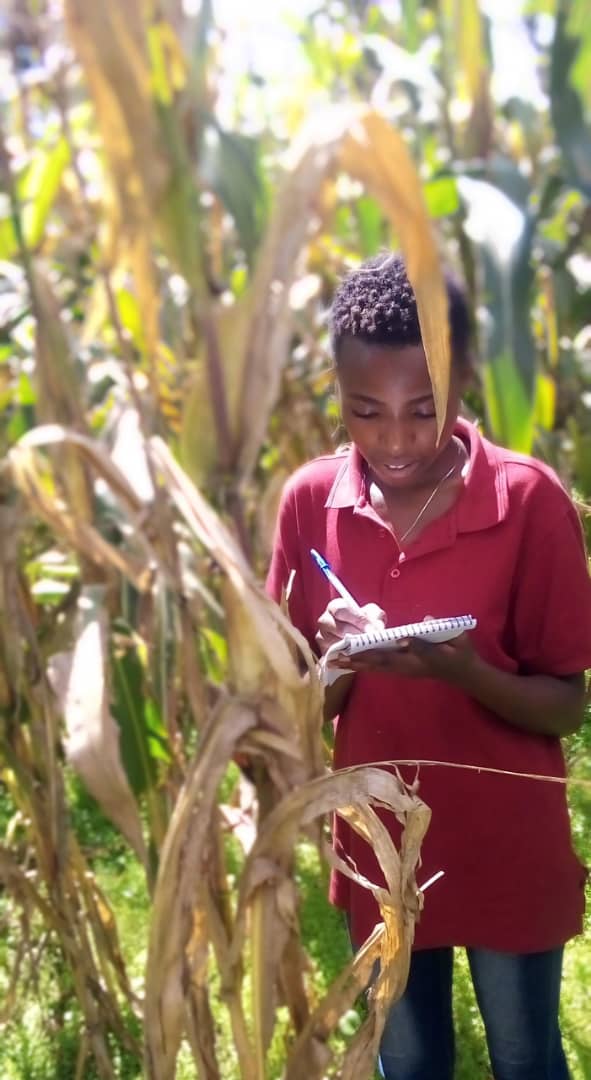 Young women play a pivotal role in agricultural transformation and must be empowered. Their participation and empowerment are essential for sustainable development in rural communities, driving innovation and productivity in the agricultural sector👊
#WomenInAgriculture