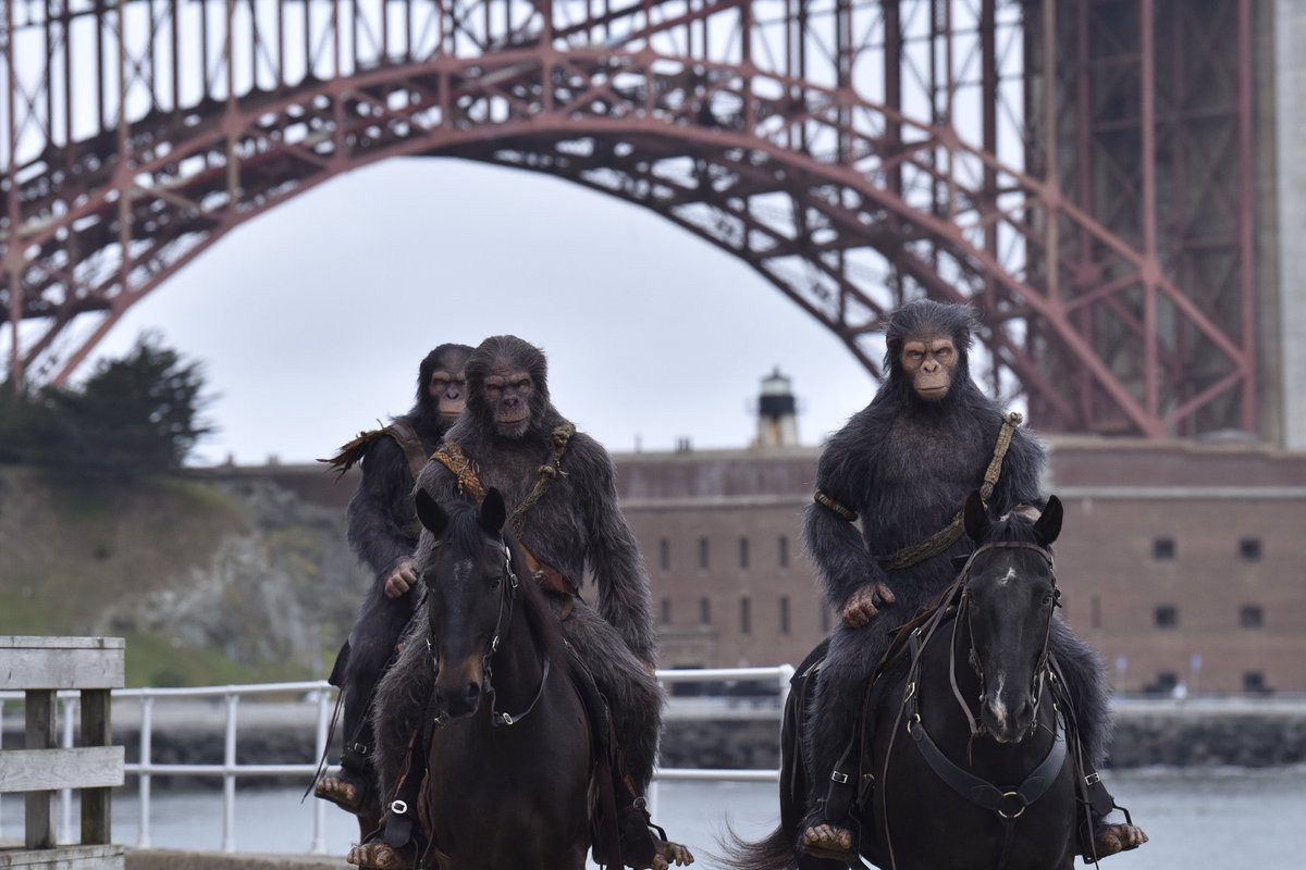 Charlie Russo tweet media