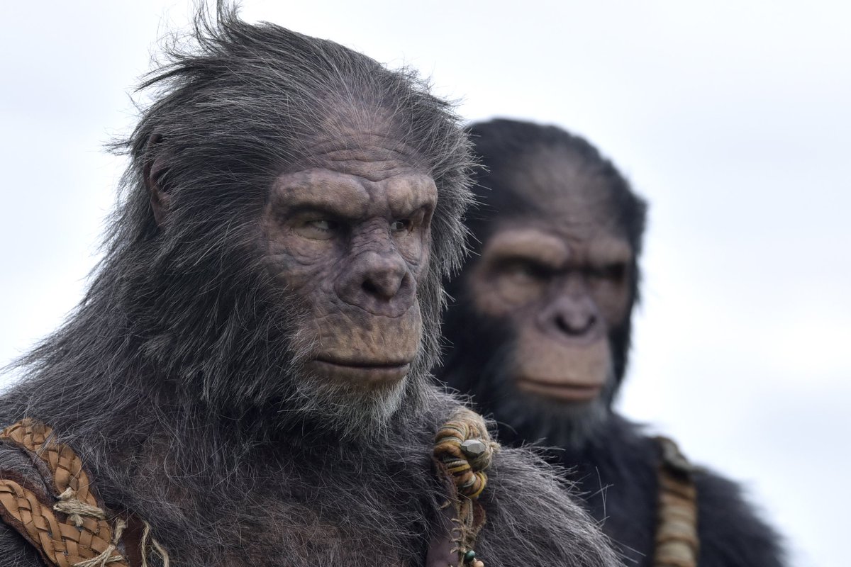 Charlie Russo tweet media