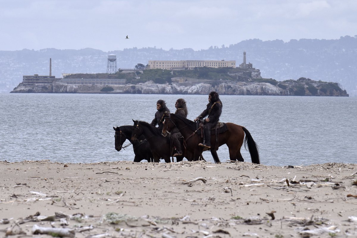 Charlie Russo tweet media