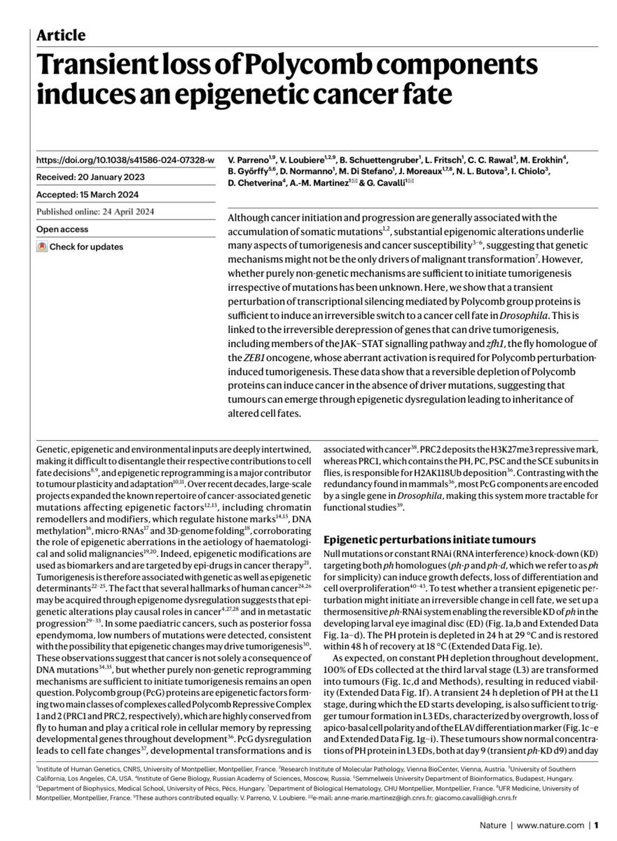 Un estudio sugiere que los tumores podrían aparecer solo por cambios epigenéticos sin mutaciones permanentes en el ADN. Este mecanismo podría explicar el actual incremento de cáncer en edades tempranas, un fenómeno preocupante que no tiene explicación. nature.com/articles/s4158…