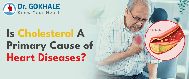 Is Cholesterol A Primary Cause of #HeartDiseases | #DrGokhale 

#Cholesterol has garnered a notorious reputation in the health community due to its strong connection with heart diseases and health complications.. 

Know more at: drgokhale.com/blog/is-choles…