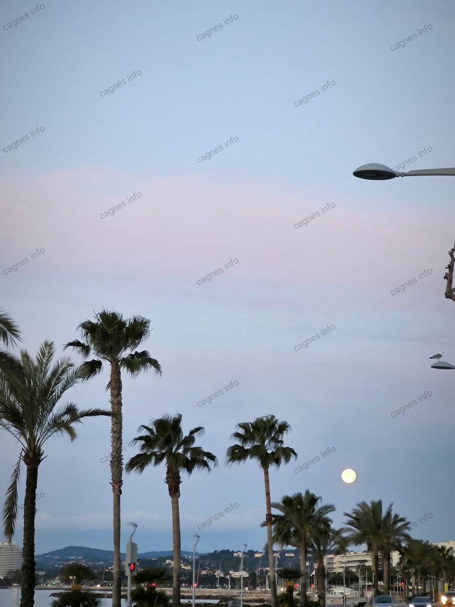 #JeudiPhoto la lune 🌙 au bord de mer .
Bonne journée à Cagnes-sur-Mer 
#icicestcagnes We 💞#cagnessurmer cagnes-sur-mer.info 
#fandecagnessurmer #ilovecagnes
       instagram.com/cagnes.sur.mer…