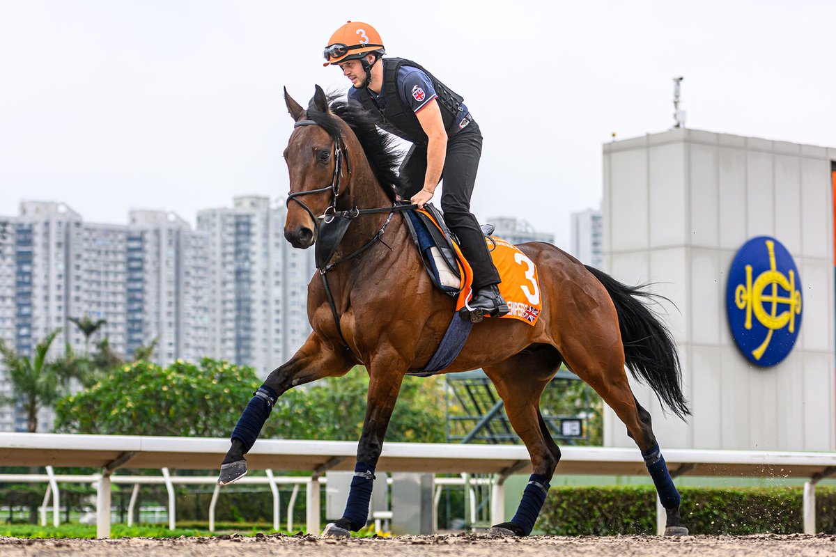 Morris relishing FWD Champions Mile challenge with globetrotting Brave Emperor. #FWDChampionsDay #HKracing @mp_horseracing writes. Read here 👉 racingnews.hkjc.com/english/2024/0…