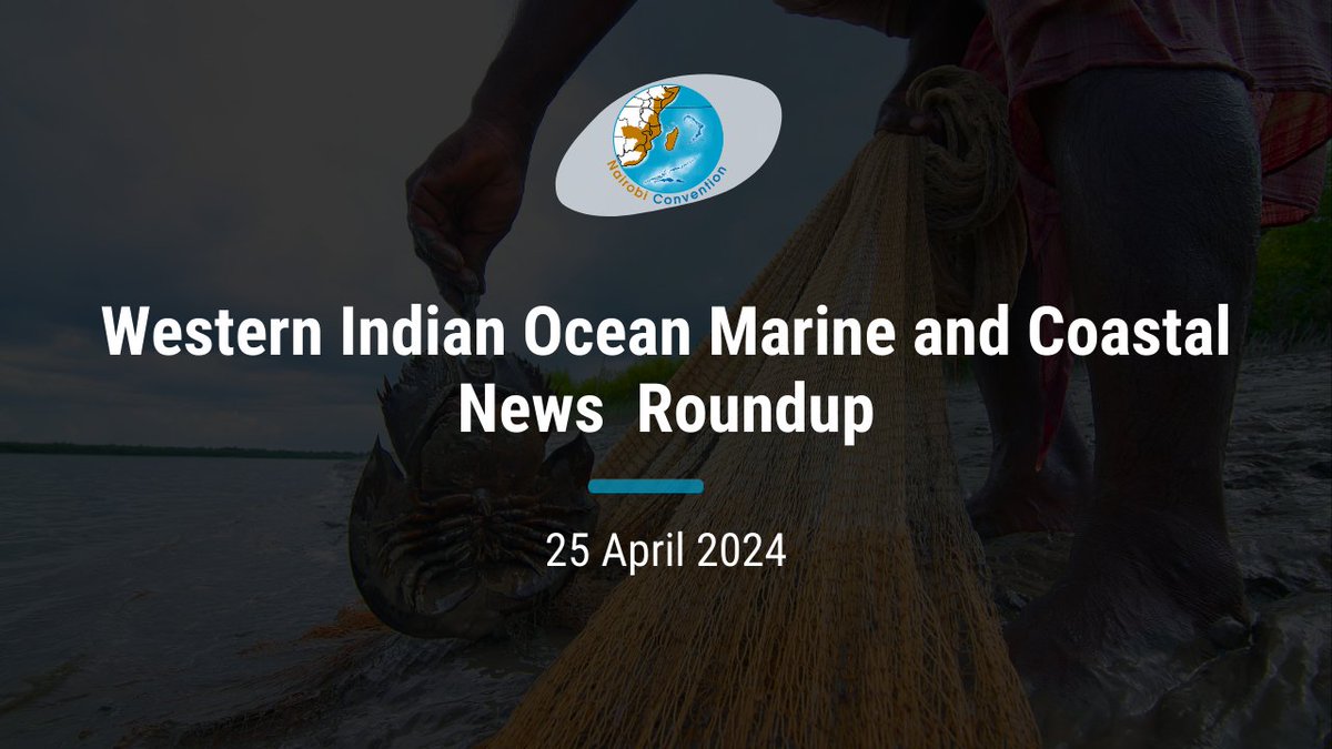 In this week's Western Indian Ocean Marine and Coastal News Roundup: the ongoing fourth session of the Intergovernmental Negotiating Committee (INC-4), effects of climate change and unsustainable fishing practices in the WIO region. teams.microsoft.com/l/message/19:4…
