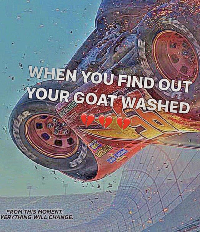 LeleBestScarfer's tweet photo. just attempted to make one and I just wanted to say: I’m so sorry mom you aren’t getting those grandkids https://t.co/3ahfYCh0Ul