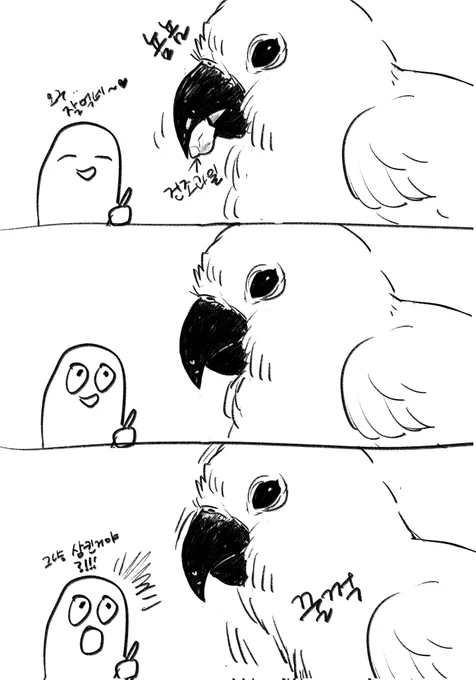 오늘의 먹방 