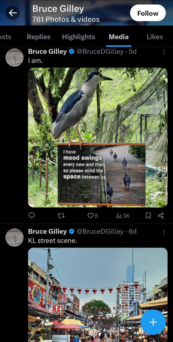 @BruceDGilley 'This is not a safe country to travel to now.'

Did the birds in KL Bird Park scare you?
