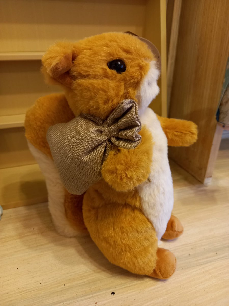 These super cute cuddly toys of Tom Kitten, Mrs Tiggy-Winkle and Squirrel Nutkin have just come into stock are on sale in-store only at the moment.  The large ones are £25 each and the small Squirrel Nutkin is £15. 

#BeatrixPotter #VisitGloucester