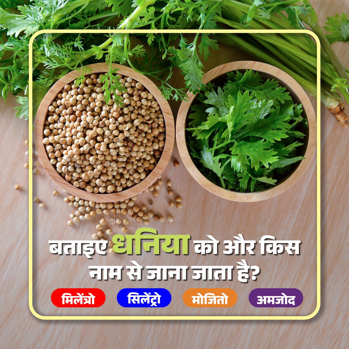 कमेंट करके सही जवाब दीजिये!

#NAFED #NafedIndia #DoYouKnow #Nafedquiz #dhaniya #coriander