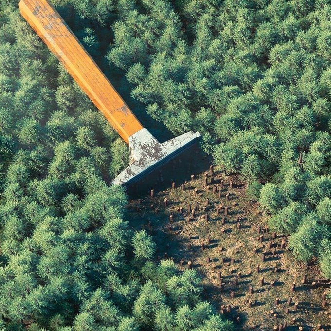 Que restera'il de nos forêts? / What will be left of our forests?