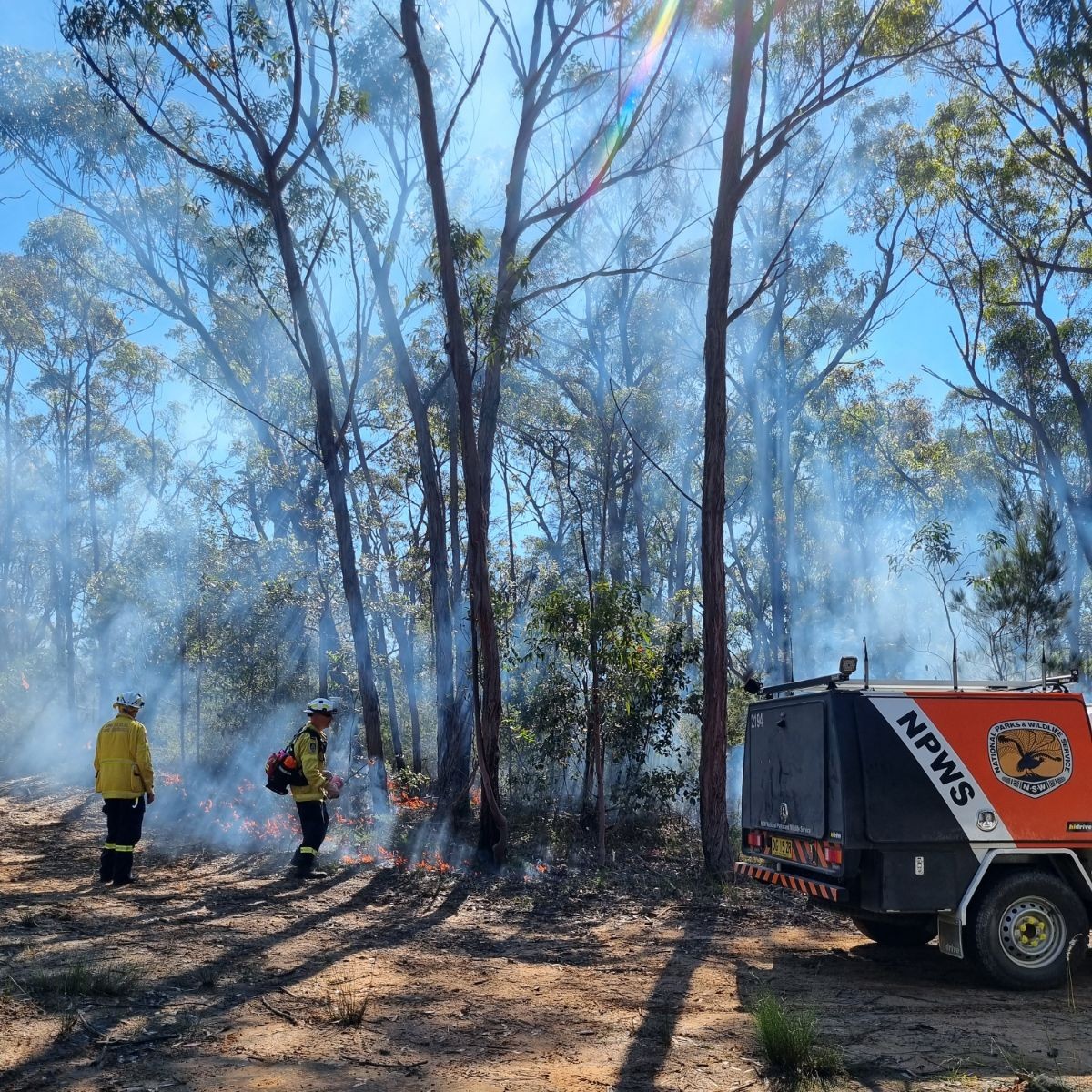 Over coming days hazard reduction burns will be undertaken across areas of NSW, including the Blue Mountains and Hornsby areas of Greater Sydney. Smoke is likely to affect areas around the Blue Mountains and Greater Sydney tomorrow and across the weekend. rfs.nsw.gov.au/hr