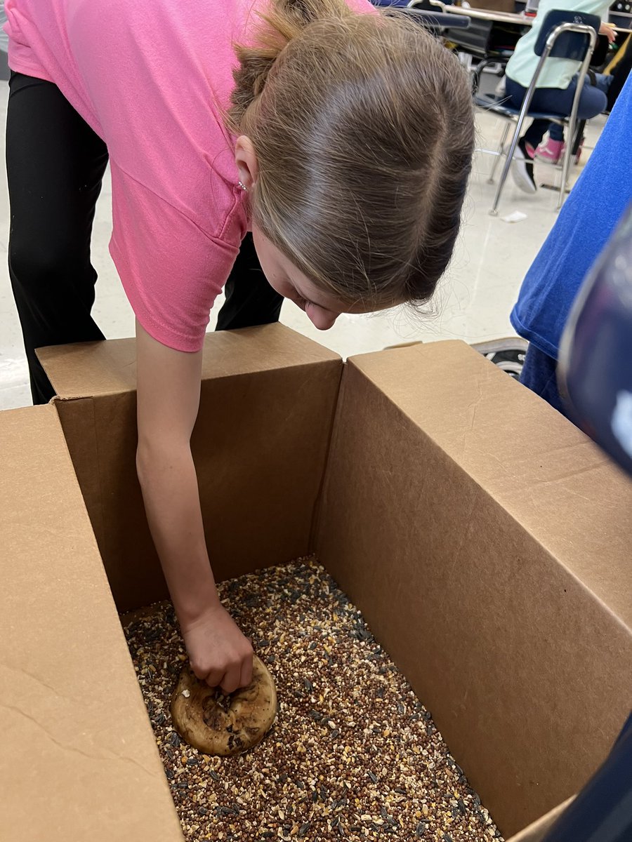 We made bird feeders today with our high school helpers! We loved learning about nature and hanging out with our buddies! #D59SaltCreek @tchrrr1