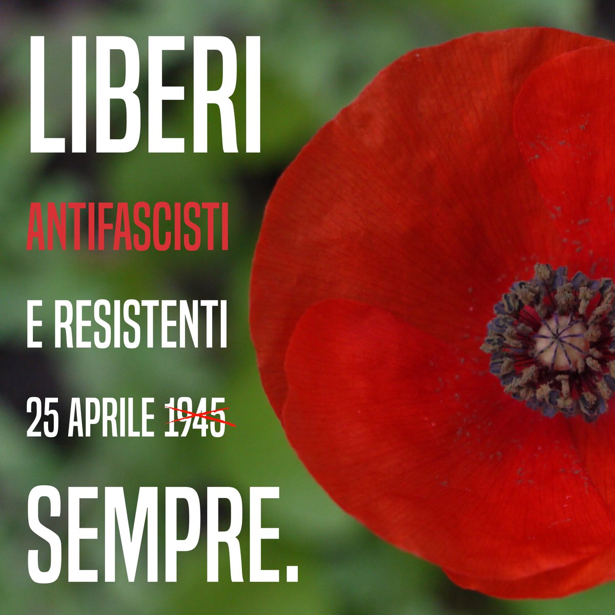 MovArturoSP's tweet image. Buongiorno #Resistenti, buon
#25aprile #FestadellaLiberazione