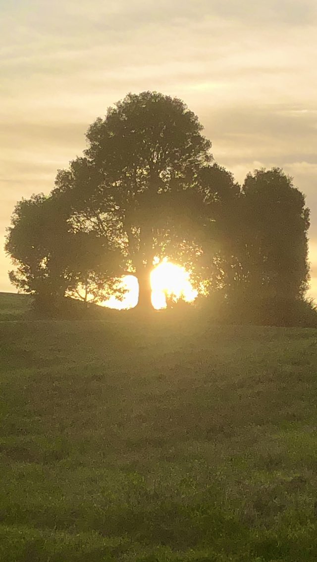 Hinterland walk this morning, always beautiful. !!