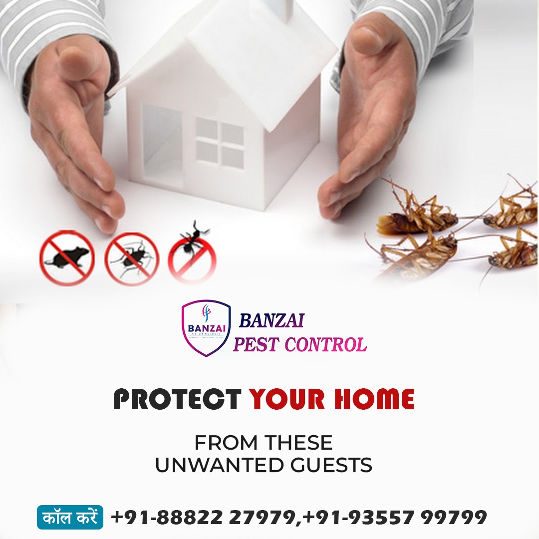 BANZAI PEST CONTROL
📷 info@banzai.in
📷 banzaipestcontrol.in
#pestcontrolservice #pestcontrol #pestmanagement #pestcontrollife #pest #termitecontrol #rodentcontrol #termites #pests #bedbugs