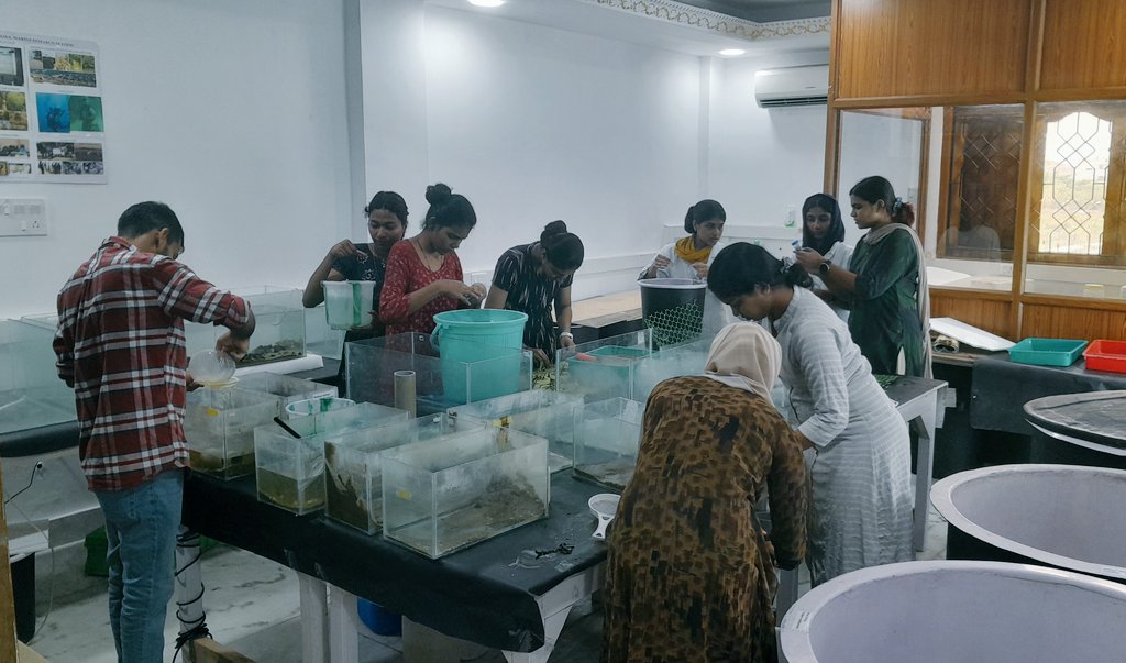 All lab members busy cleaning and sorting seagrass and shrimps #MarineEcology @SathyabamaSIST @Prakash_caridea @KKunjulakshmi @SilpaMkala, @Kavin_kd23 and others.. in the process of setting up lab-based experiments..