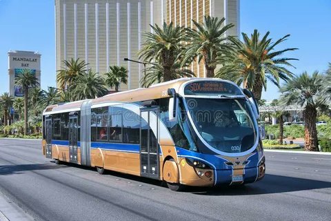 #Articulated #Bus #Market size was valued US$ 570 Mn. in 2020.

Get More Info: tinyurl.com/76un66kx

#ArticulatedBus #PublicTransportation #UrbanMobility #TransitSolutions #SmartCities #SustainableTransport #MassTransit #EcoFriendlyCommute #EfficientMobility #BusInnovation