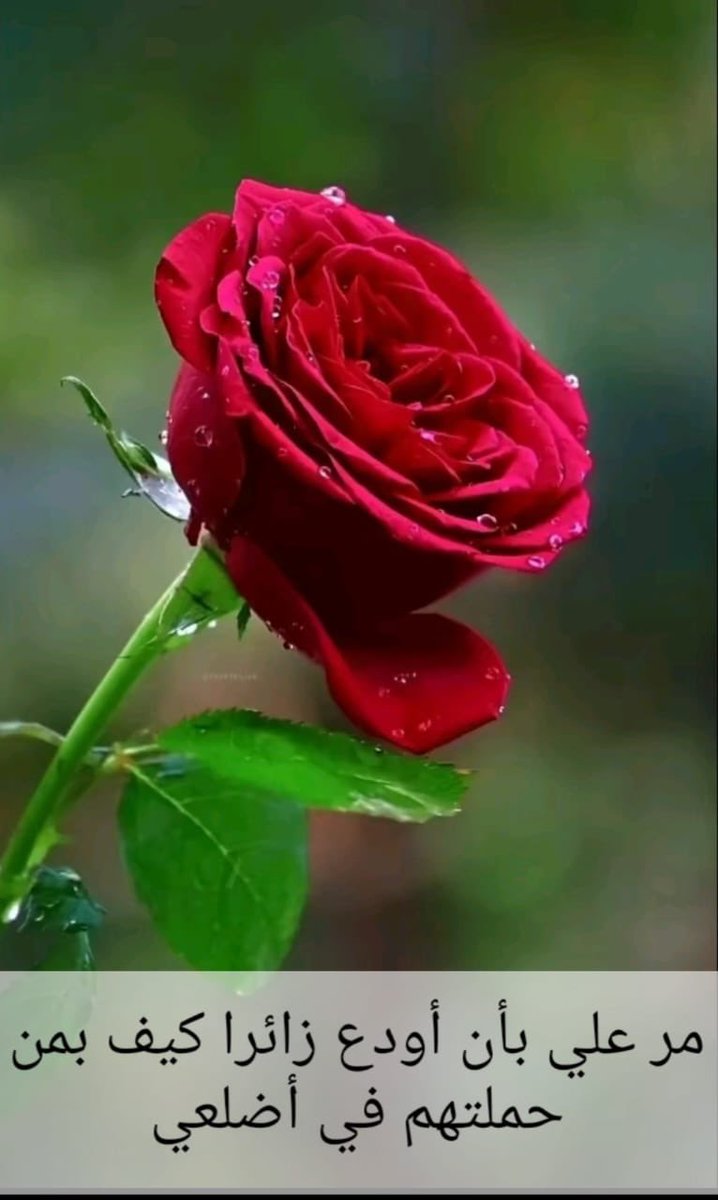 Dr.Sul (@drsuluae) on Twitter photo 