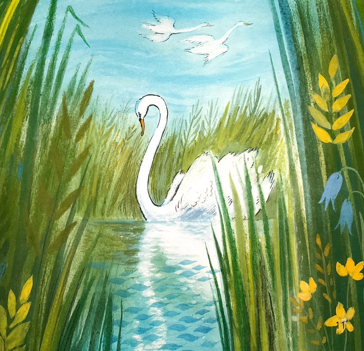 #BookIllustrationOfTheDay is from “The Ugly Duckling” (2013). A wordless retelling of Andersen’s tale, an “Early Reader” for schools. I loved the challenge of telling the story through pictures alone, & the fairly painterly approach. 

Here our duckling becomes a swan. #60for60