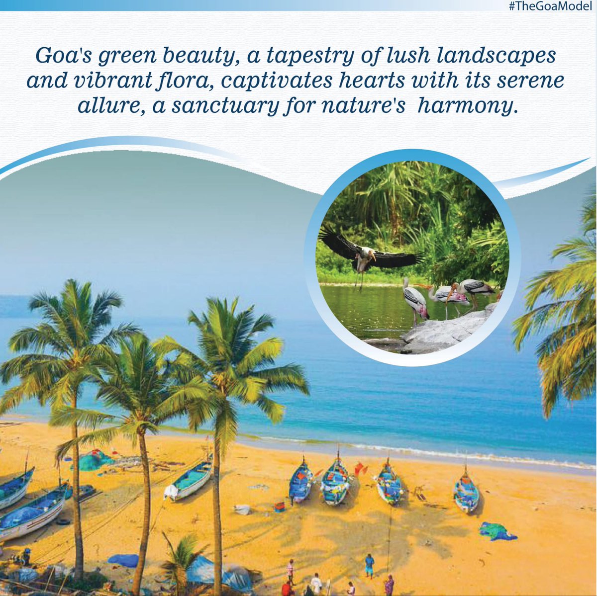 The_GoaModel's tweet photo. Goa's green beauty, a tapestry of lush landscapes and vibrant flora, captivates hearts with its serene allure, a sanctuary for nature's harmony.
#TheGoaModel
#GoaBeauty #Greenery #LushLandscapes #NatureLovers #SereneBeauty #TranquilScenery #NaturalSanctuary #GreenParadise https://t.co/1VORRoo1bL